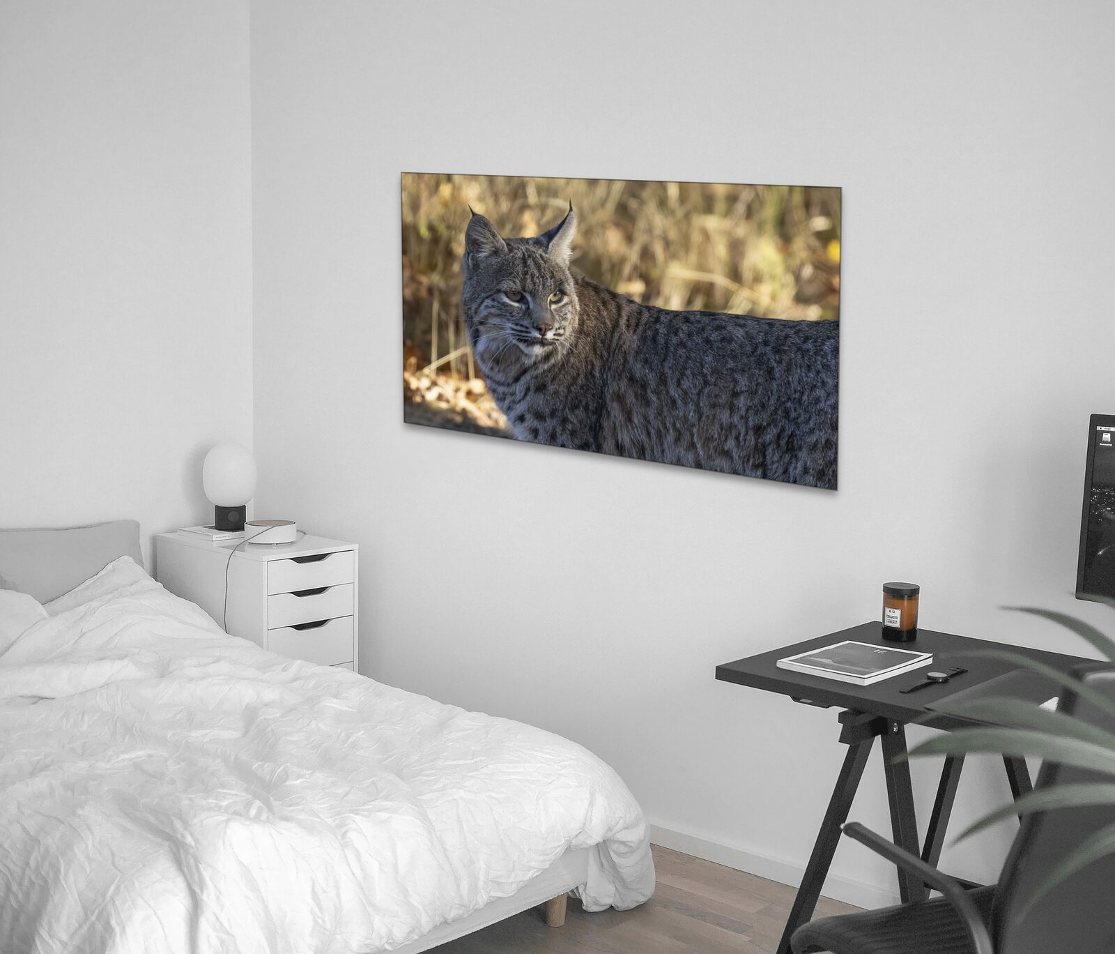 Room mockup