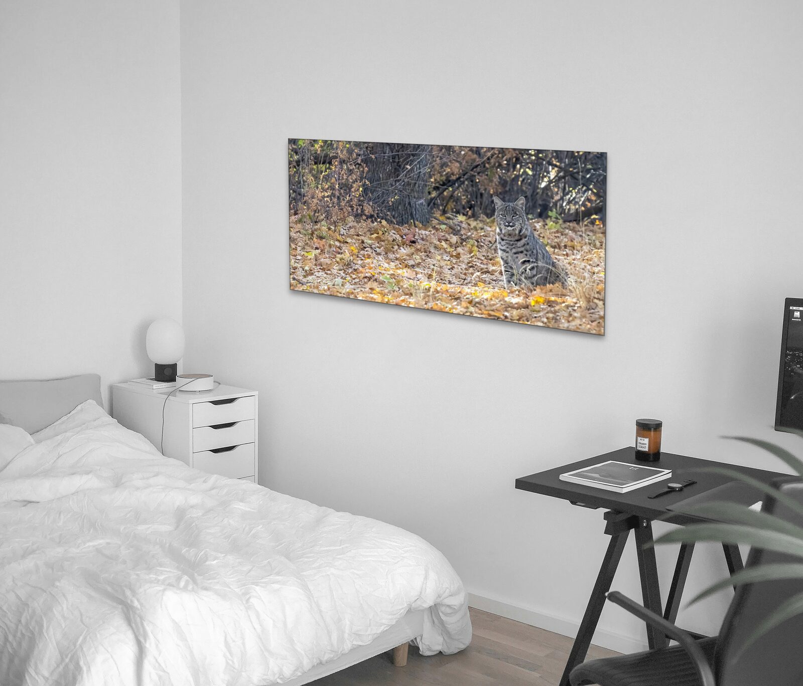 Room mockup