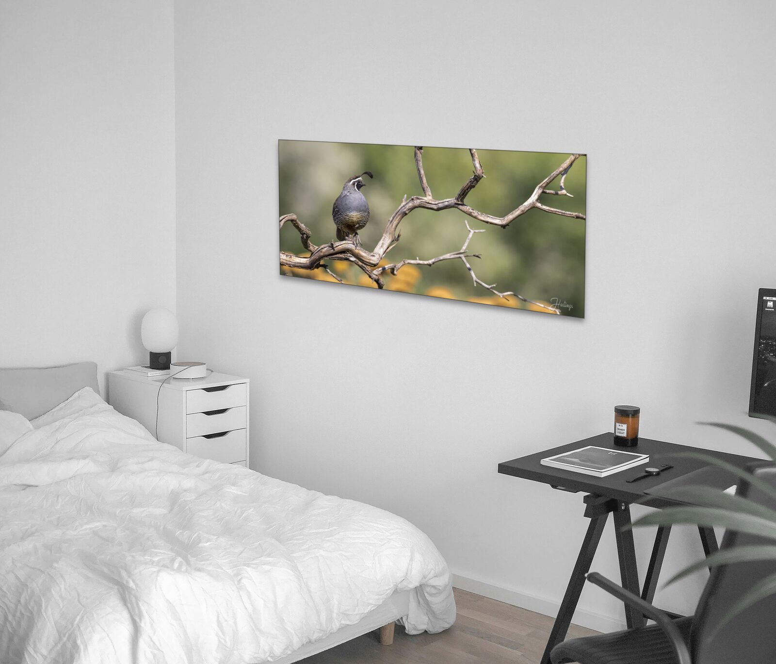 Room mockup