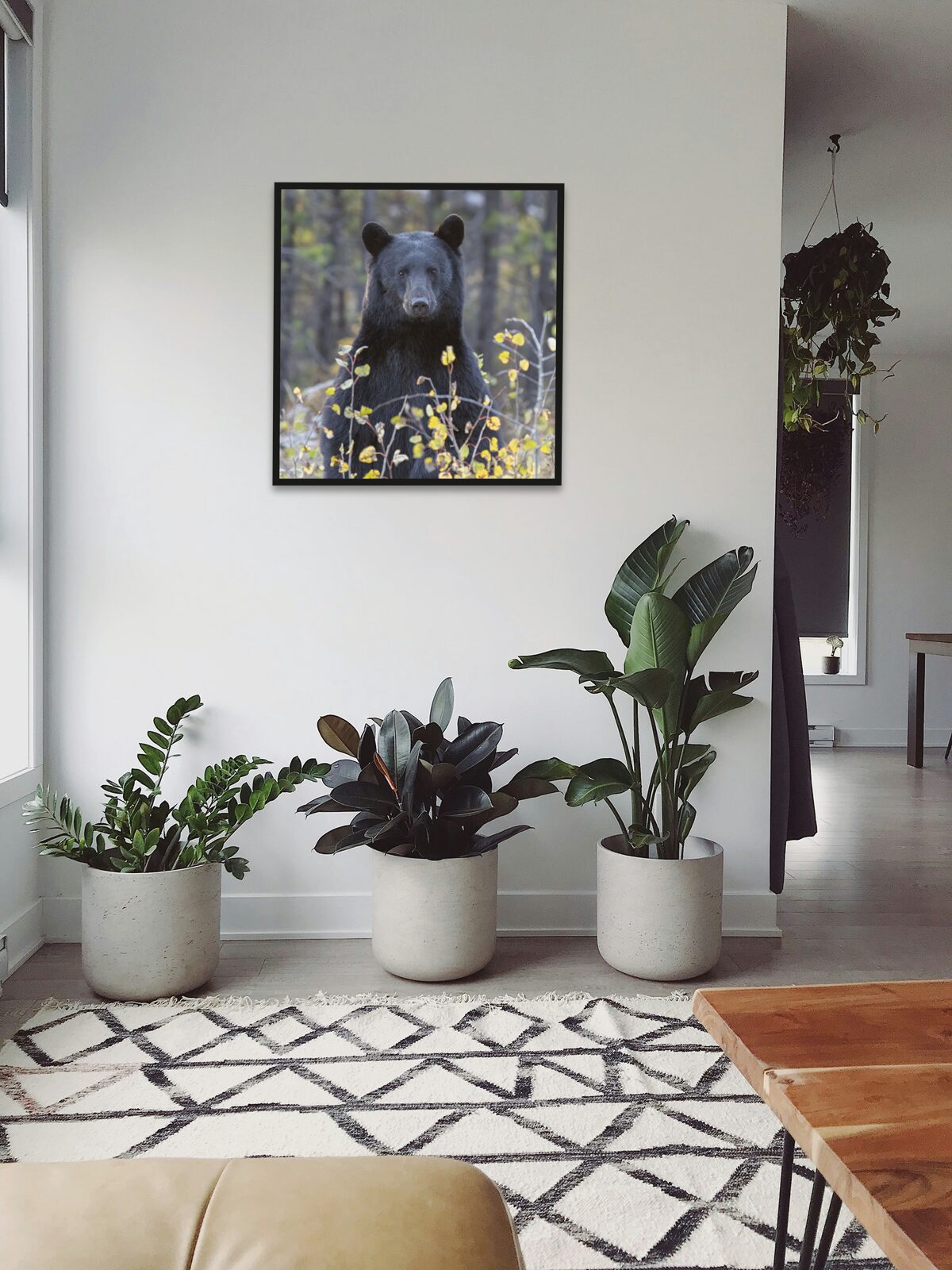 Room mockup