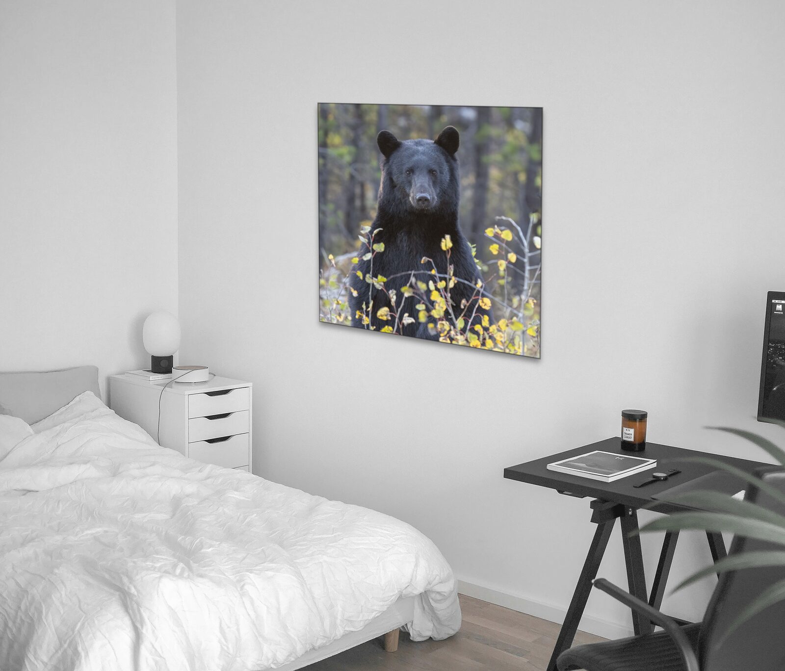 Room mockup