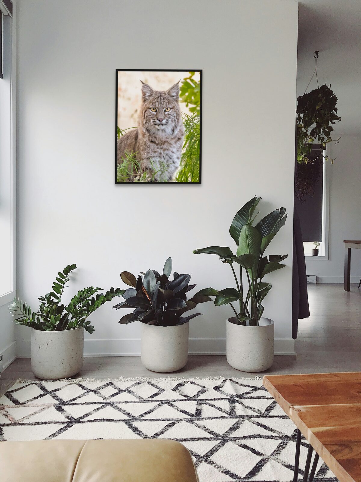 Room mockup
