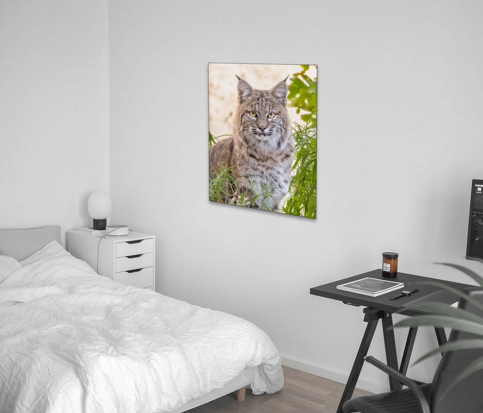 Room mockup