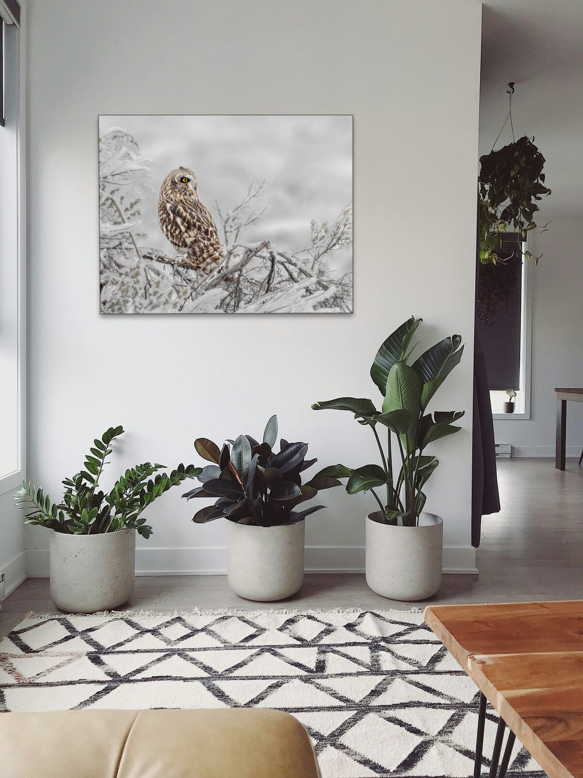 Room mockup