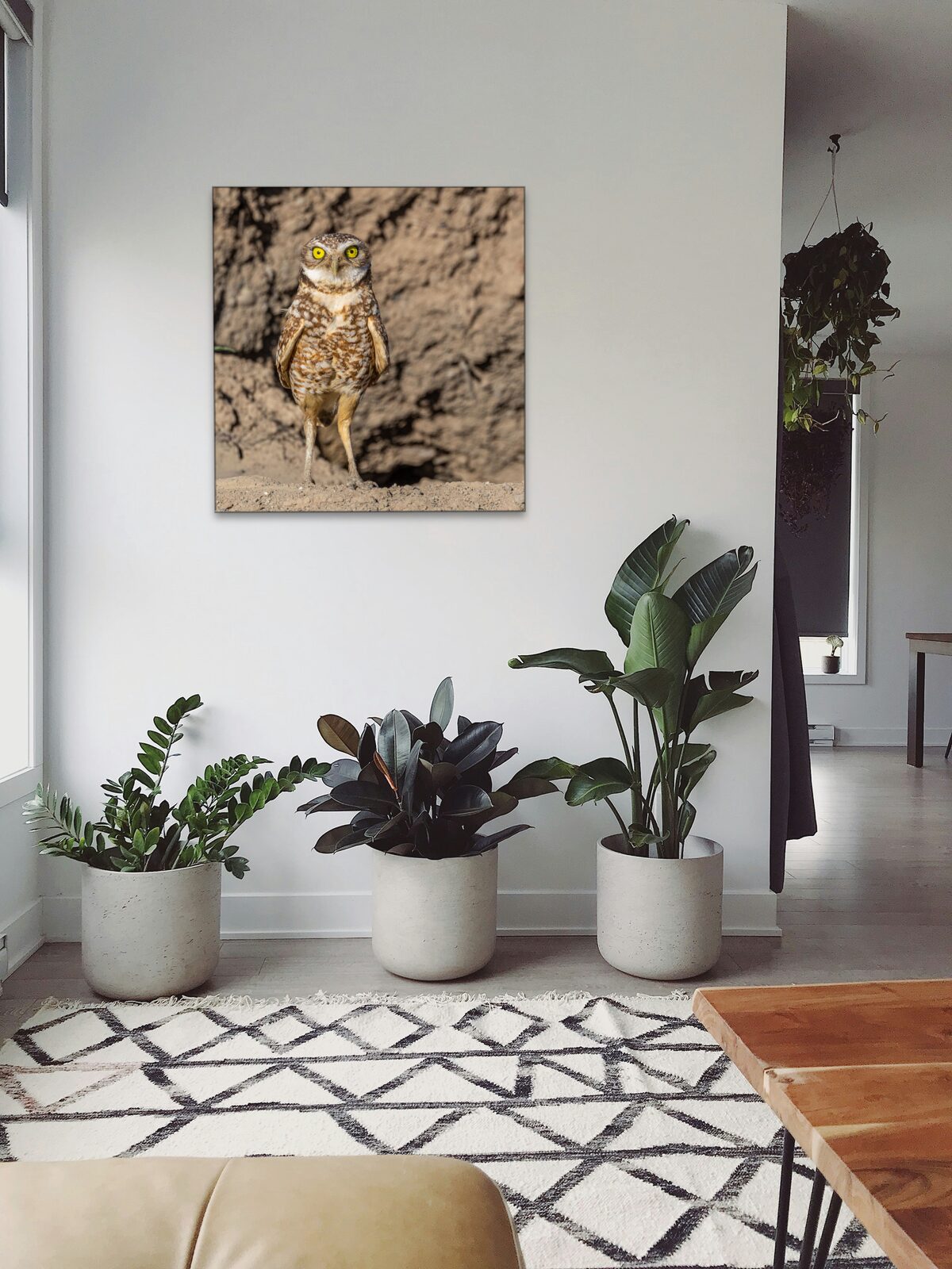 Room mockup