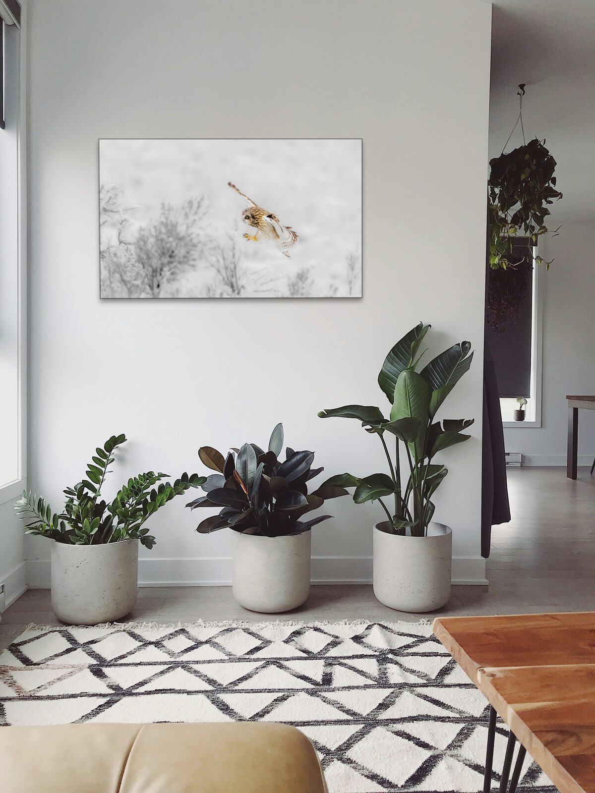 Room mockup