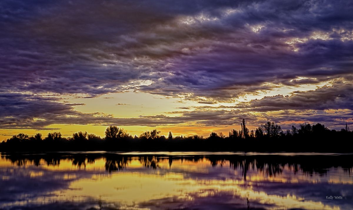 Golden Waters
