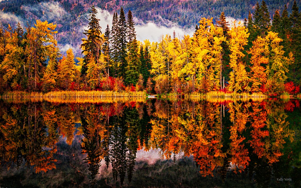 Golden Reflections