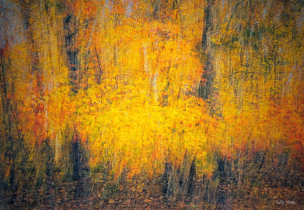 Golden Fall