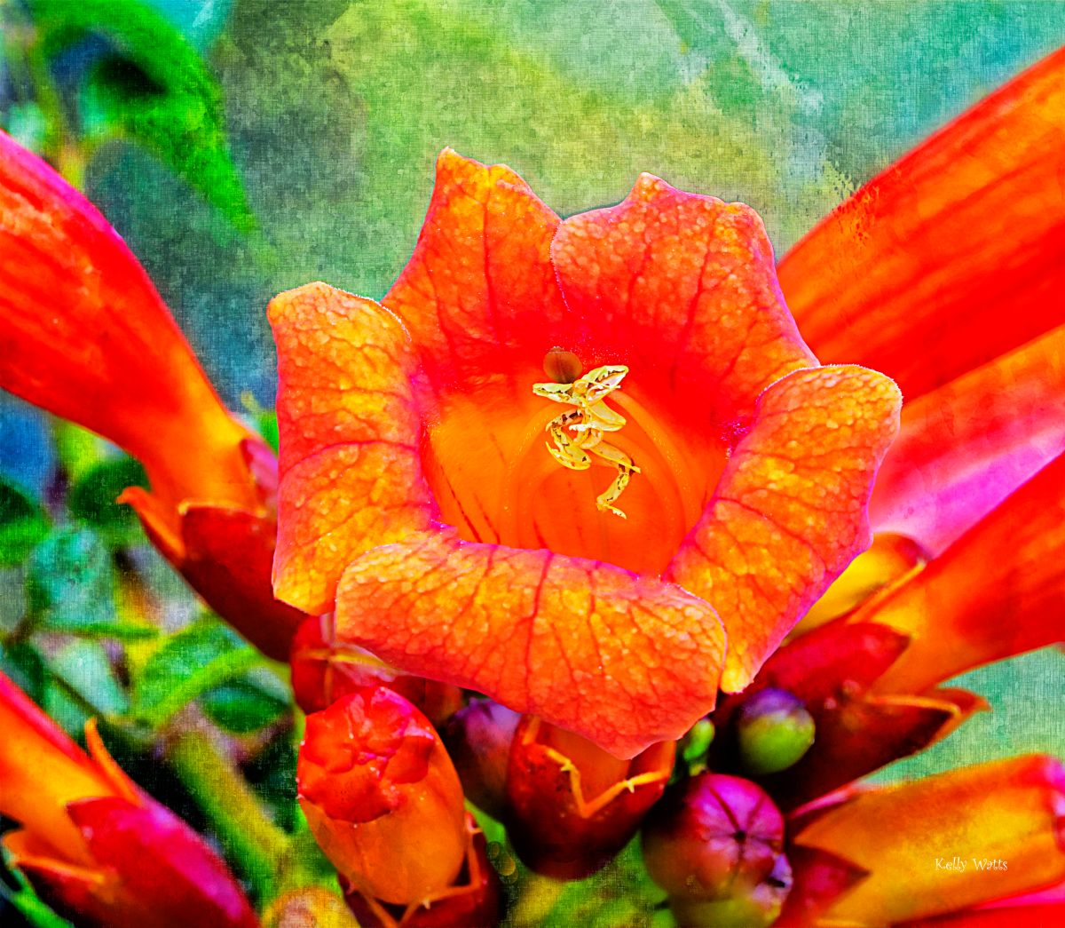 Orange Standing
