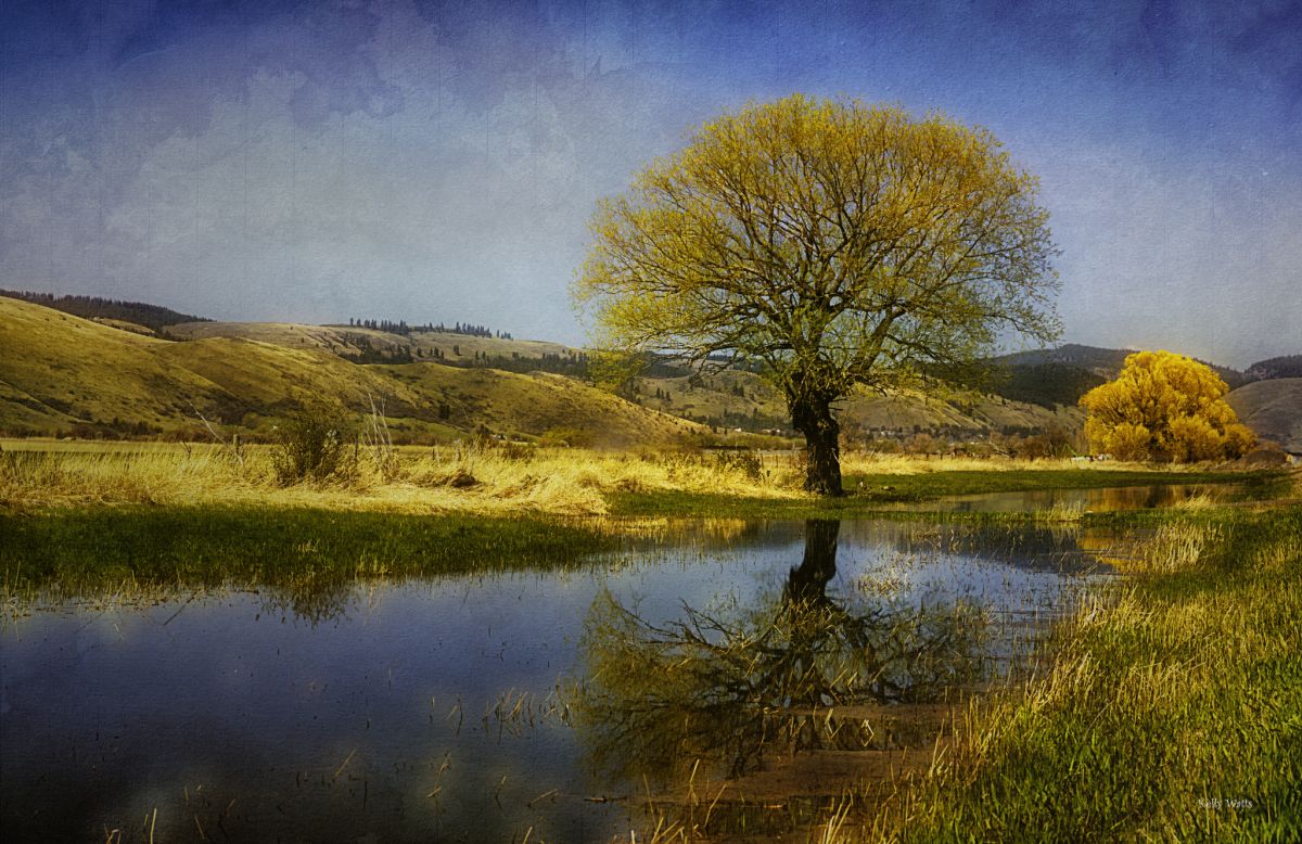 Reflecting Pond