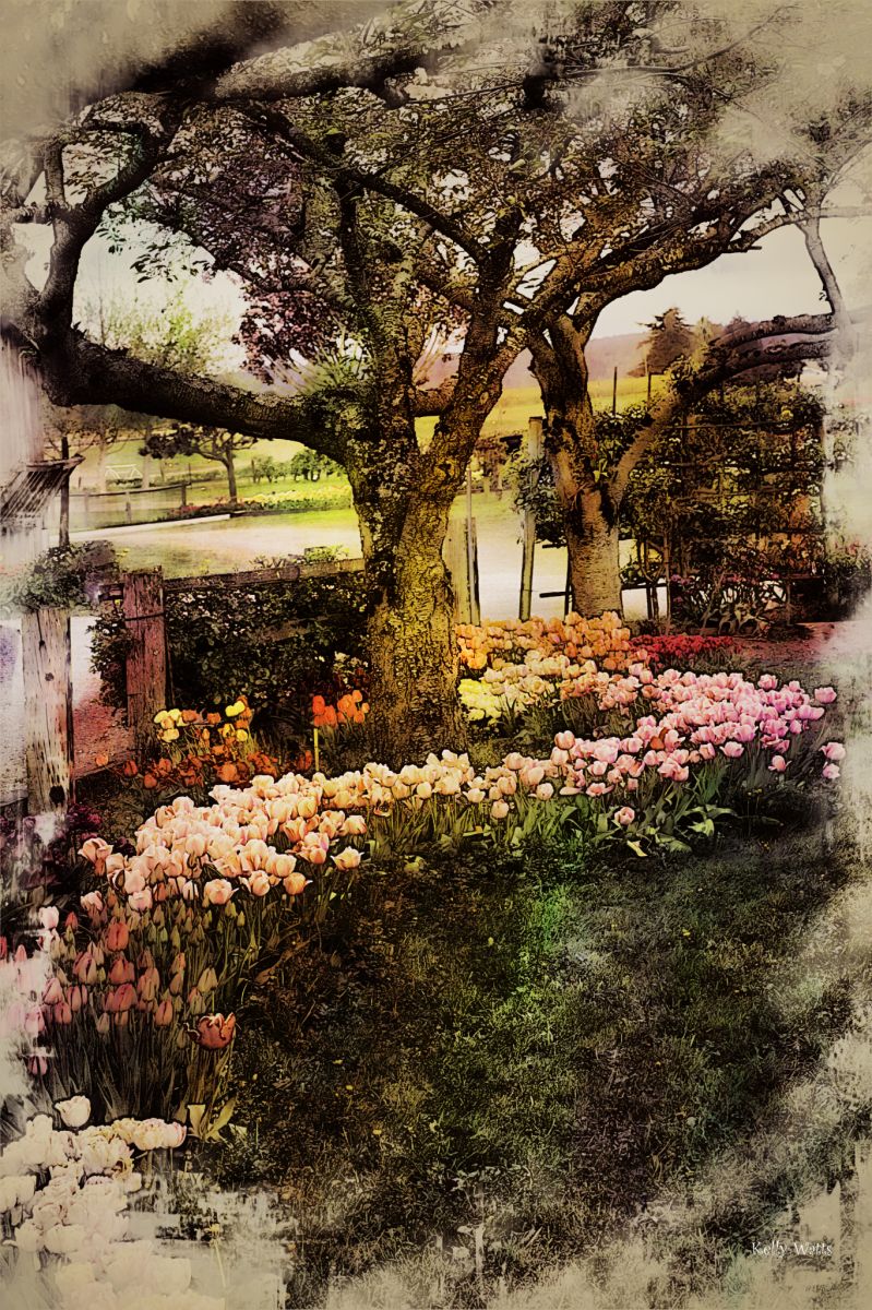 Follow The Tulip Trail