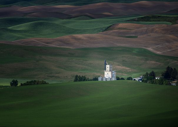 Palouse Grainery greeting card