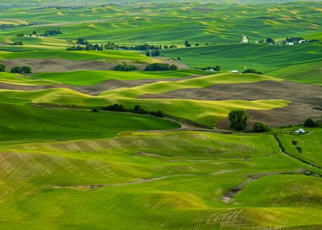The Wonderfully Green Palouse greeting card