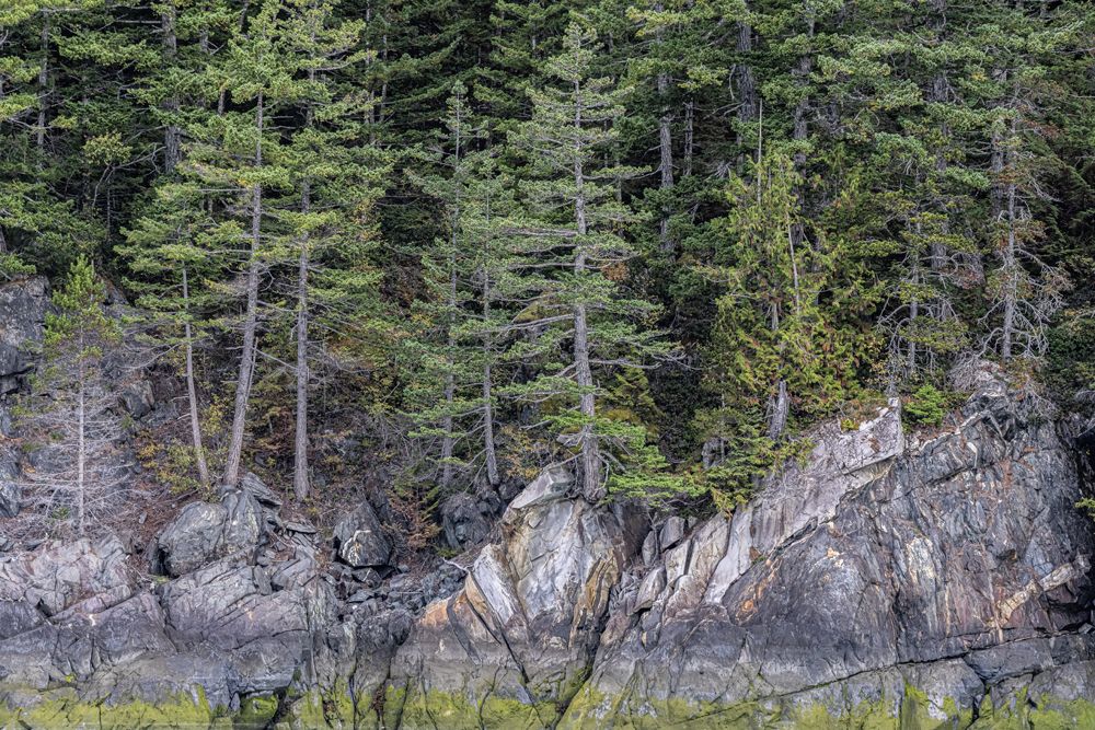 Rocky Coastline
