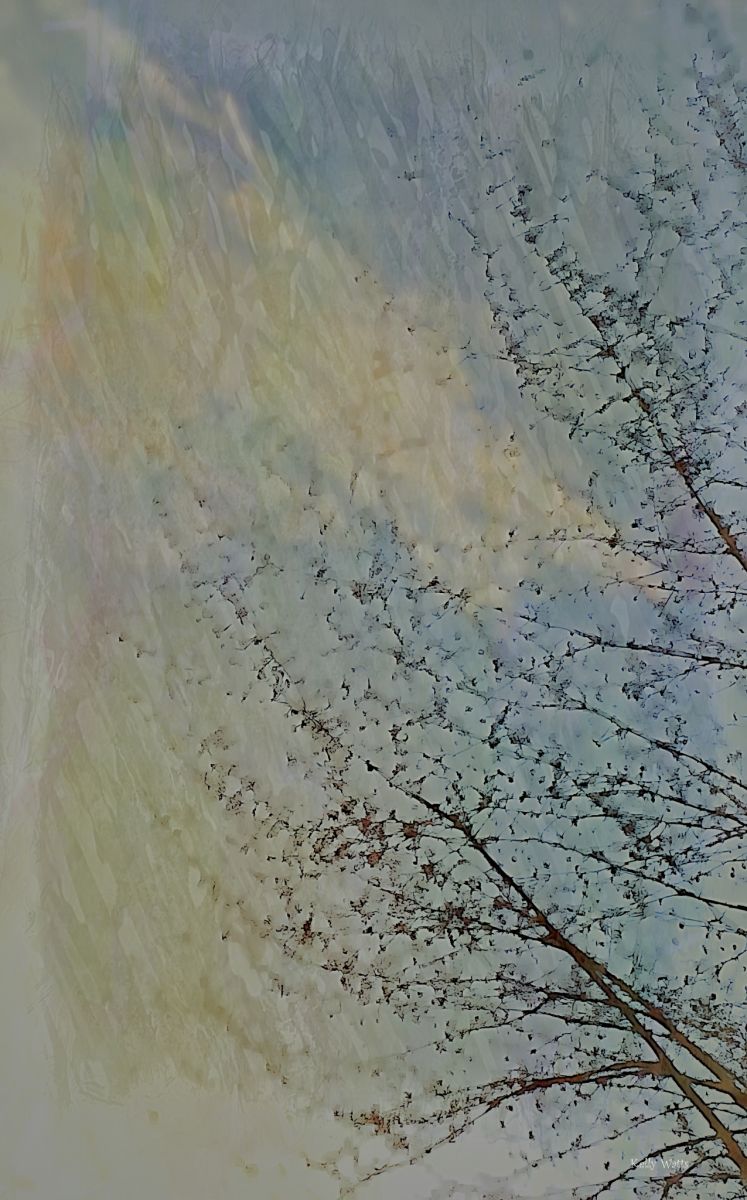 Windy Tree Abstract