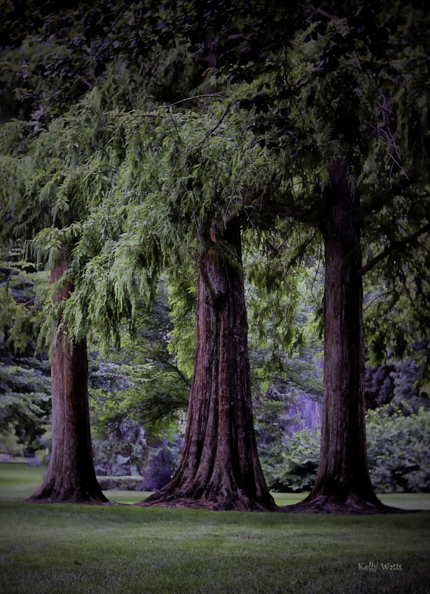 Three Pilars