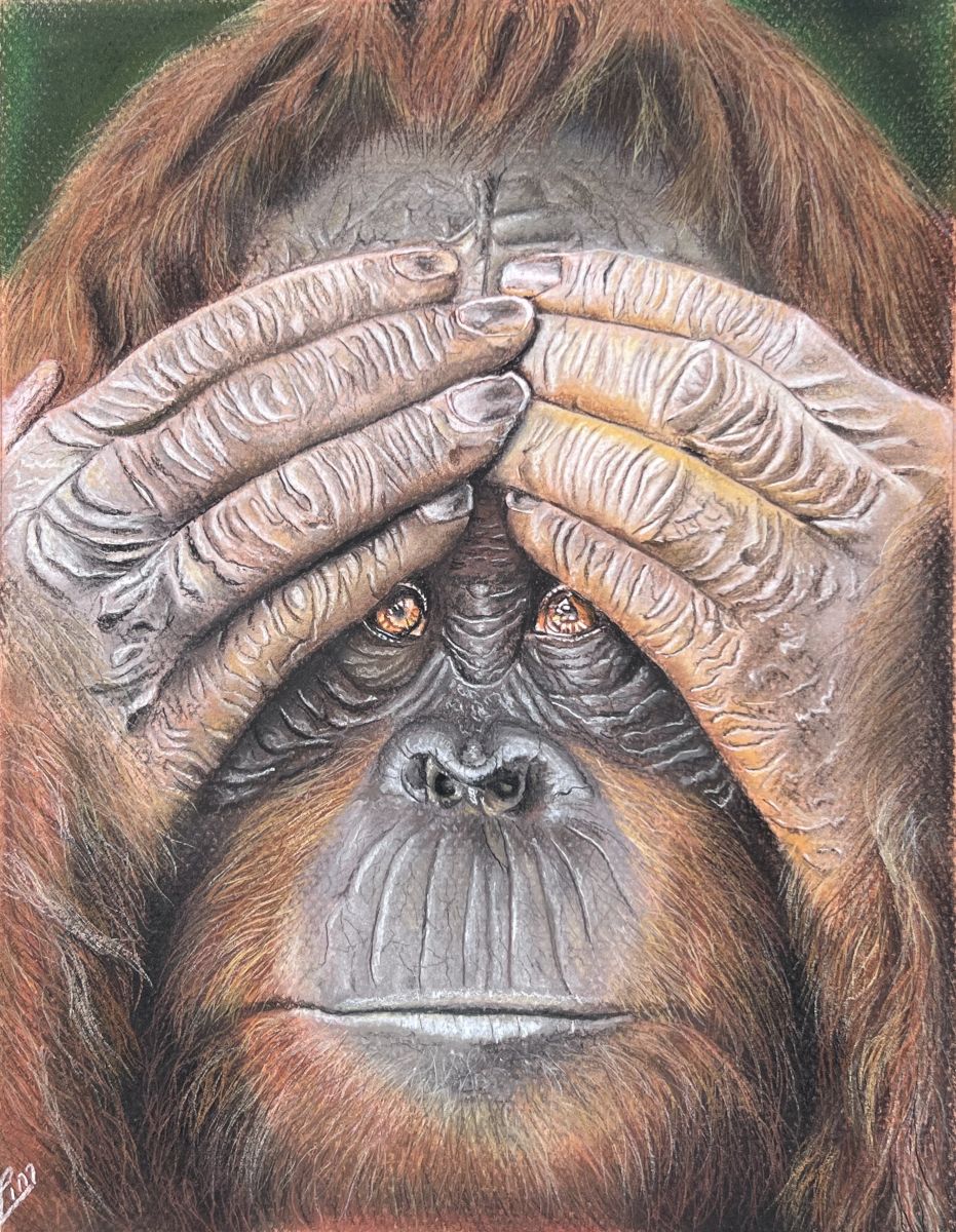 See no evil