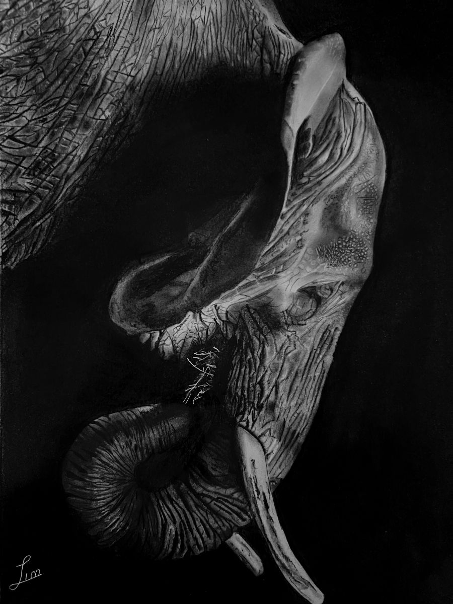 Silent giant