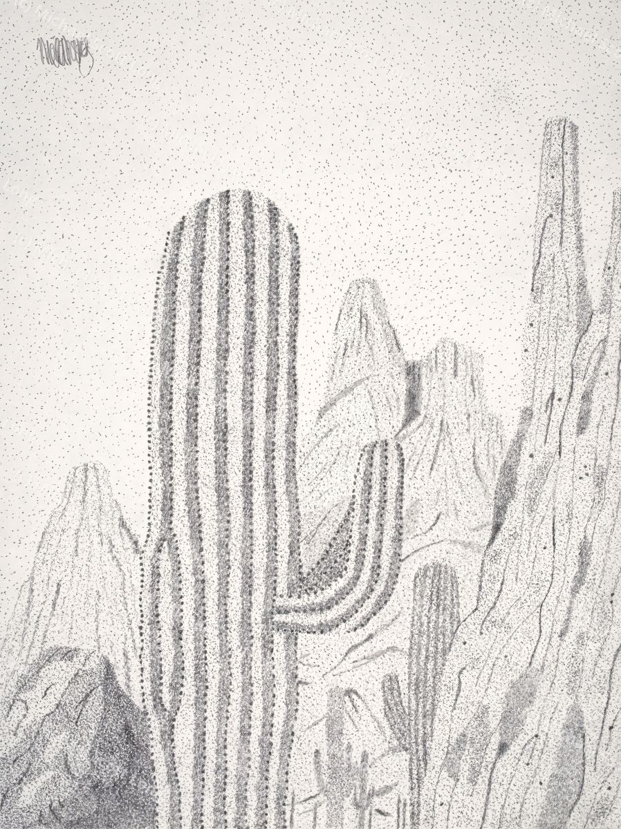 Sonoran Desert Mountain Range