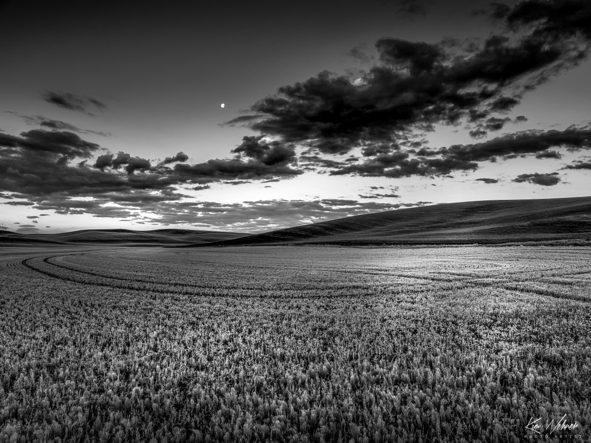 Moon Over the Fields