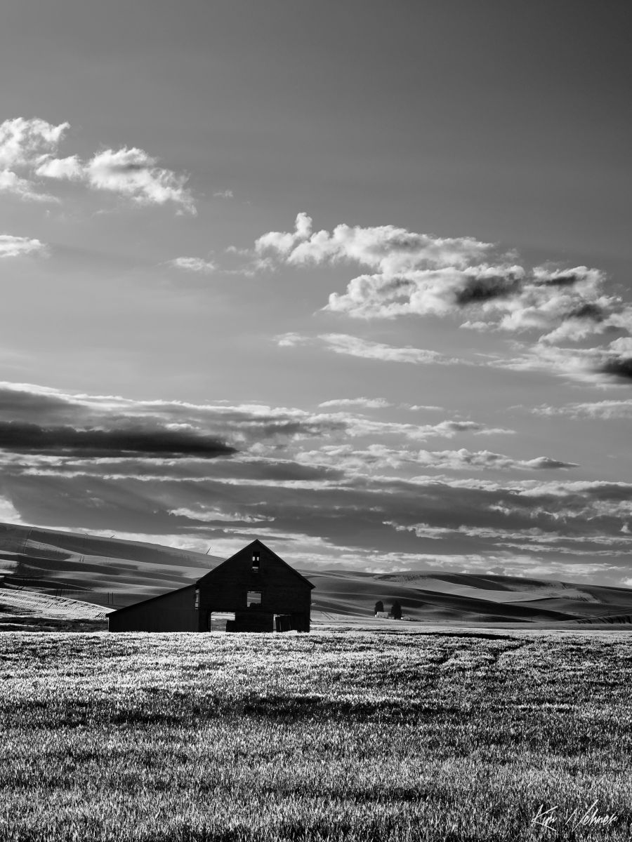 Barn in the Open Field