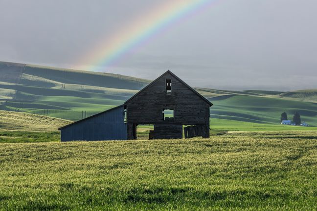 Morning Rain Showers