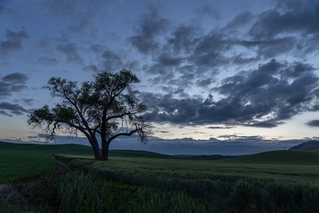 Blue Hour Sunrise