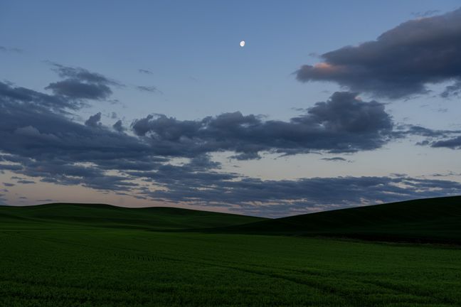 Goodnight Moon