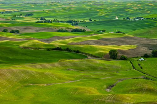 The Wonderfully Green Palouse