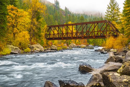 "A Bridge to Autumn!"