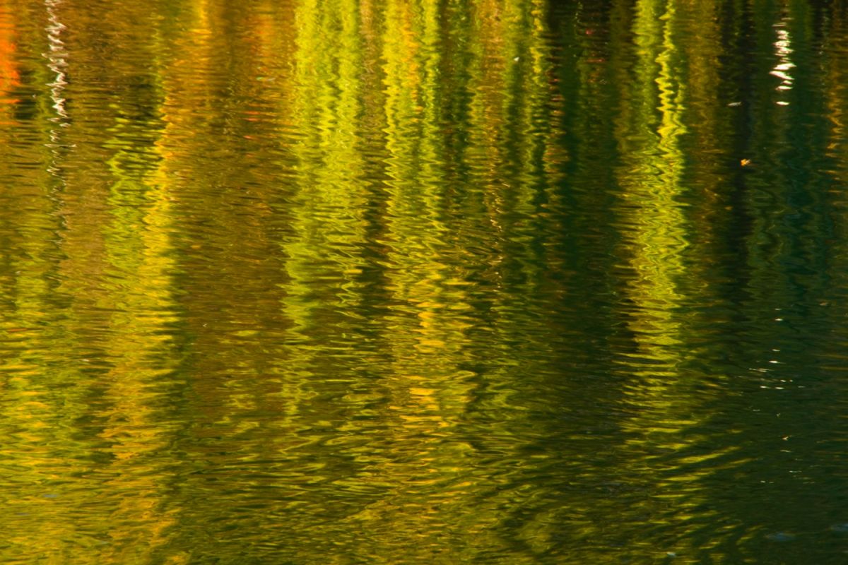 Reflection